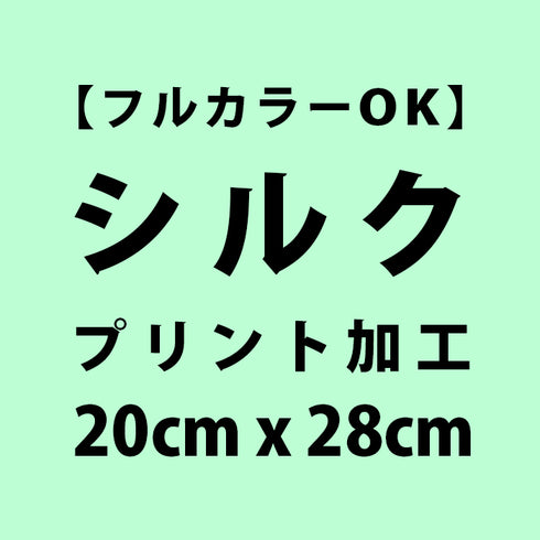 シルクスクリーンプリント 20cm x 28cm 以内 (バック)